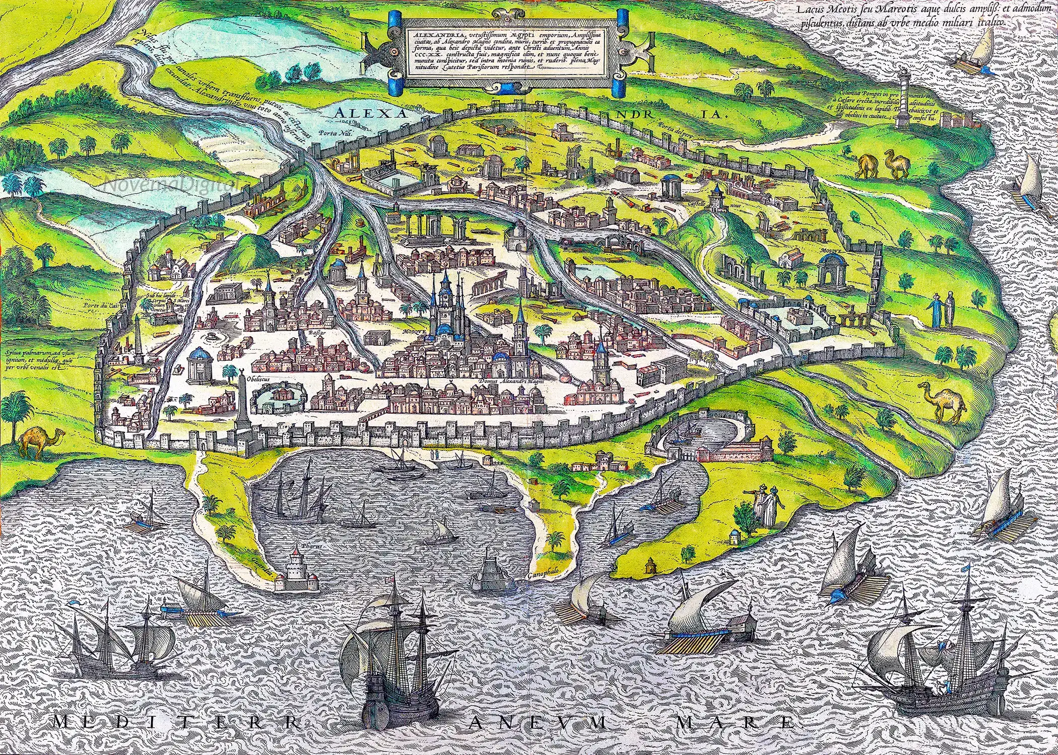 Georg Braun - Map of Alexandria