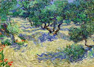Vincent van Gogh - Olive Orchard (1889)