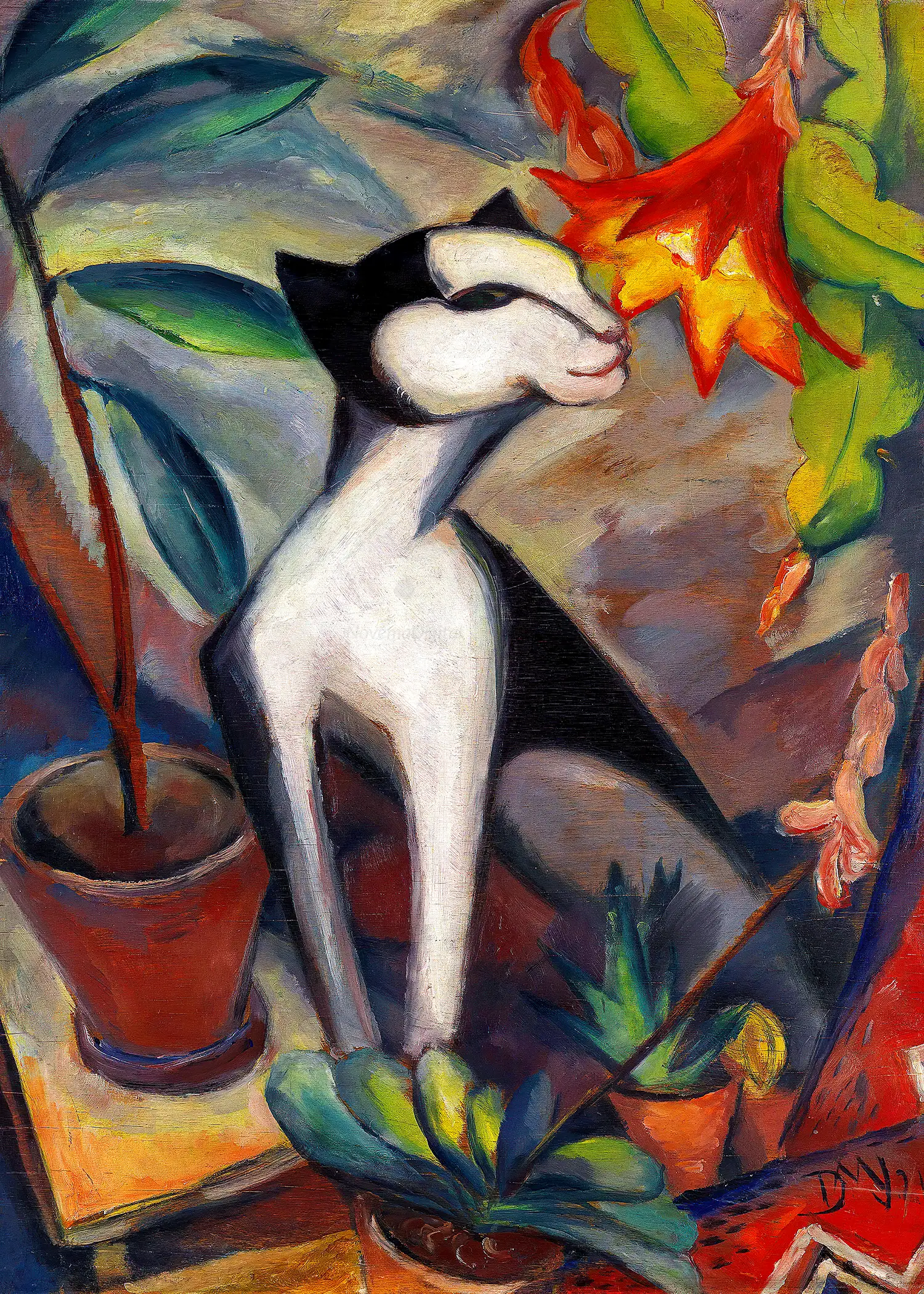 Dorothea Maetzel-Johannsen - Katze mit Kakteenblüte I (1921)
