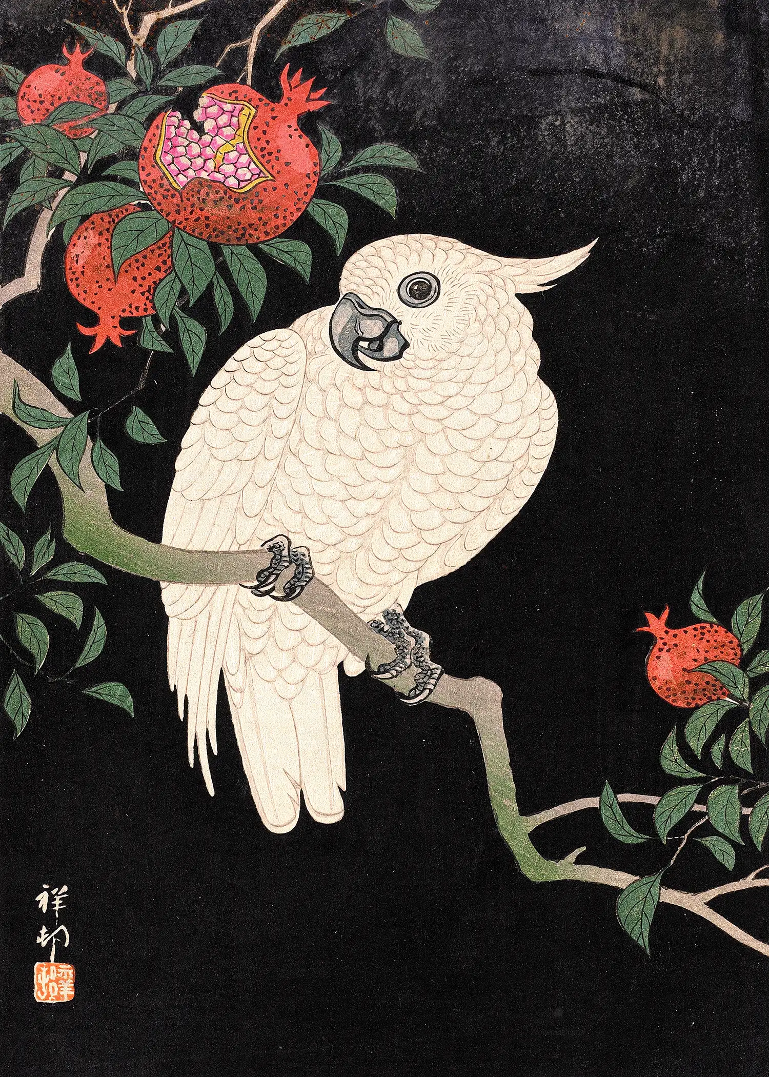 Ohara Koson - Cockatoo and Pomegranate (1900s)