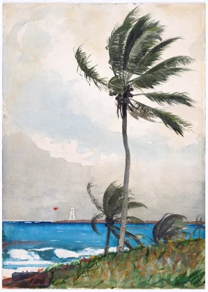 Winslow Homer - Palm Tree, Nassau (1898)
