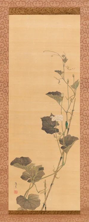 Maruyama Ōshin - Calabash Flowers and Beetle (1800s)