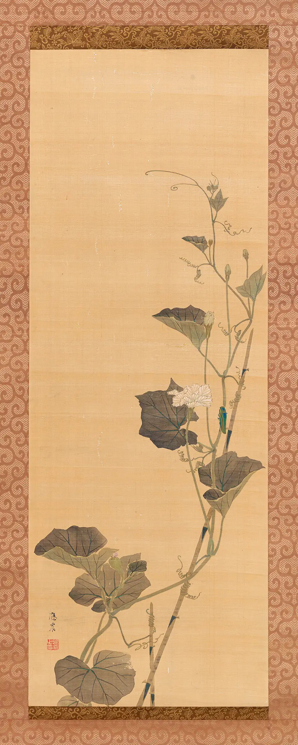 Maruyama Ōshin - Calabash Flowers and Beetle (1800s)